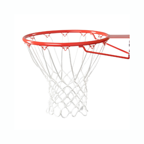 Bison Basketball Net