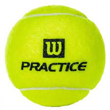 Wilson Practice Tennis Ball - Case