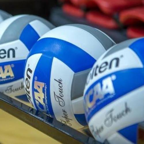 Volleyballs