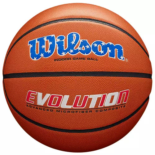 Wilson Evolution Basketball