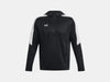 Under Armour Men's Storm Armour Fleece® Hoodie