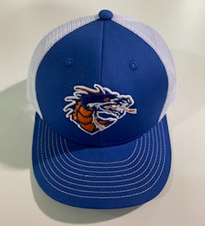 Silver Creek Dragons Snapback Cap