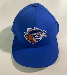 Silver Creek Dragons Stretch-Fit Cap