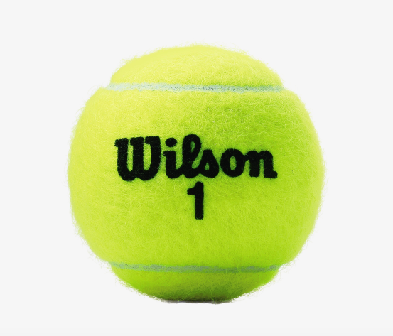 Wilson Game Tennis Ball - Case